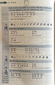 1000 Frequently Used Chinese Characters - Illustrationen 4
