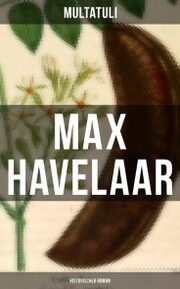 Max Havelaar (Historischer Roman)