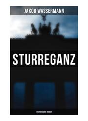 Sturreganz: Historischer Roman