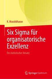 Six Sigma für organisatorische Exzellenz