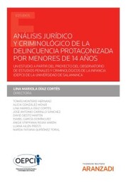 Análisis jurídico y criminológico de la delincuencia protagonizada por menores de 14 años