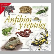 Anfibios y reptiles - Cover