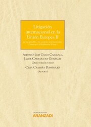 Litigación internacional en la Unión Europea II - Cover