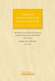 Litigación internacional en la Unión Europea III