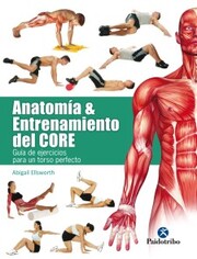 Anatomía y entrenamiento del core