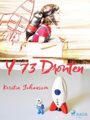 Y 73 Dronten - Cover