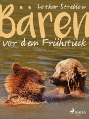 Bären vor dem Frühstück - Erzählungen - Cover