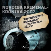 'Gryningspyromanen' - dyr för samhället - Cover