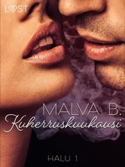 Halu 1: Kuherruskuukausi - eroottinen novelli - Cover