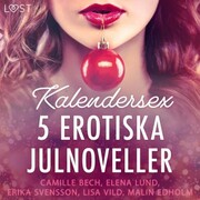 Kalendersex - 5 erotiska julnoveller - Cover