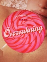 Övervakning - erotisk novell - Cover
