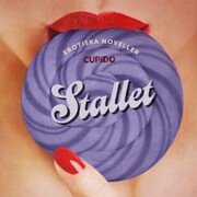 Stallet - erotiska noveller - Cover