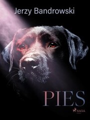 Pies - Cover