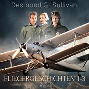 Fliegergeschichten 1-3 - Cover