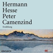 Peter Camenzind - Cover