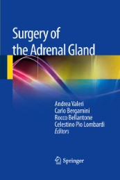 Surgery of the Adrenal Gland - Abbildung 1