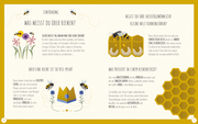 Die Welt der Bienen - Abbildung 1