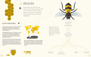 Die Welt der Bienen - Abbildung 2
