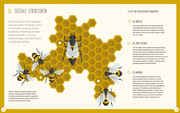 Die Welt der Bienen - Abbildung 3