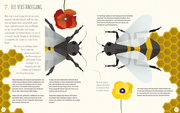 Die Welt der Bienen - Abbildung 4