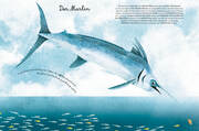 Das große Buch der Seetiere/Das kleine Buch der Seetiere - Abbildung 3