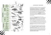 Pflanzenfressende Dinosaurier. Das Entdeckerbuch für kleine Dino-Forscher - Abbildung 3