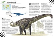 Pflanzenfressende Dinosaurier. Das Entdeckerbuch für kleine Dino-Forscher - Abbildung 8