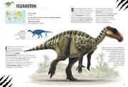 Pflanzenfressende Dinosaurier. Das Entdeckerbuch für kleine Dino-Forscher - Abbildung 9