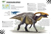 Pflanzenfressende Dinosaurier. Das Entdeckerbuch für kleine Dino-Forscher - Abbildung 10