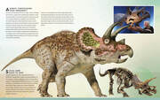 Das ultimative Buch der Dinosaurier - Abbildung 7