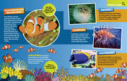 Ozean. Lernspaß mit spannenden Tiersuchen! Entdecke mehr als 250 Meeresbewohner in ihren Lebensräumen - Abbildung 2