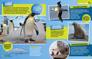 Ozean. Lernspaß mit spannenden Tiersuchen! Entdecke mehr als 250 Meeresbewohner in ihren Lebensräumen - Abbildung 5