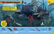 Ozean. Lernspaß mit spannenden Tiersuchen! Entdecke mehr als 250 Meeresbewohner in ihren Lebensräumen - Abbildung 7