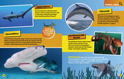 Ozean. Lernspaß mit spannenden Tiersuchen! Entdecke mehr als 250 Meeresbewohner in ihren Lebensräumen - Abbildung 8