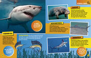 Ozean. Lernspaß mit spannenden Tiersuchen! Entdecke mehr als 250 Meeresbewohner in ihren Lebensräumen - Abbildung 9