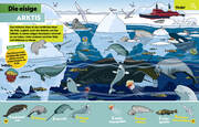 Ozean. Lernspaß mit spannenden Tiersuchen! Entdecke mehr als 250 Meeresbewohner in ihren Lebensräumen - Abbildung 10