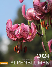 Alpenblumen 2024 - Cover
