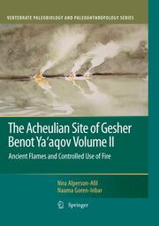 The Acheulian Site of Gesher Benot Yaaqov Volume II