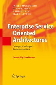 Enterprise Service Oriented Architectures