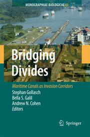 Bridging Divides - Cover