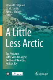 A Little Less Arctic - Abbildung 1