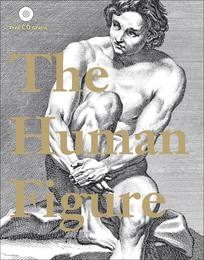 The Human Figure