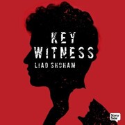 Key Witness - Cover
