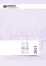 World Drug Report 2013 (Chinese language) - Cover