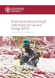 Building Resilience through Safe Access to Fuel and Energy (SAFE)