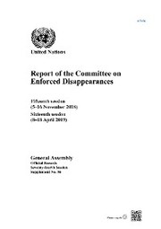 Report of the Committee on Enforced Disappearances