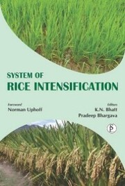 System Of Rice Intensification - Cover