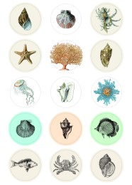 Natural History - Labels, Stickers & Tape - Abbildung 2