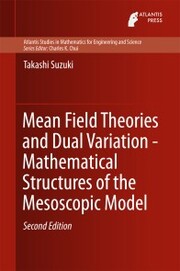 Mean Field Theories and Dual Variation - Mathematical Structures of the Mesoscopic Model