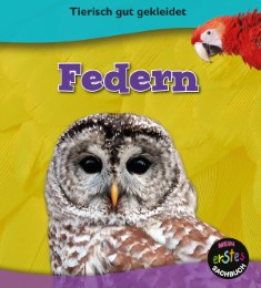 Federn - Cover